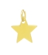 Pendentif Argent Étoile Recouverte 10mm