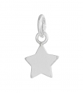 Colgante Plata Estrella 8mm