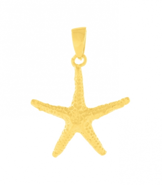 Colgante Plata Estrella de Mar 20.5mm Bañada