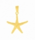 Pendentif Argent Étoile de Mer 20.5mm Recouverte