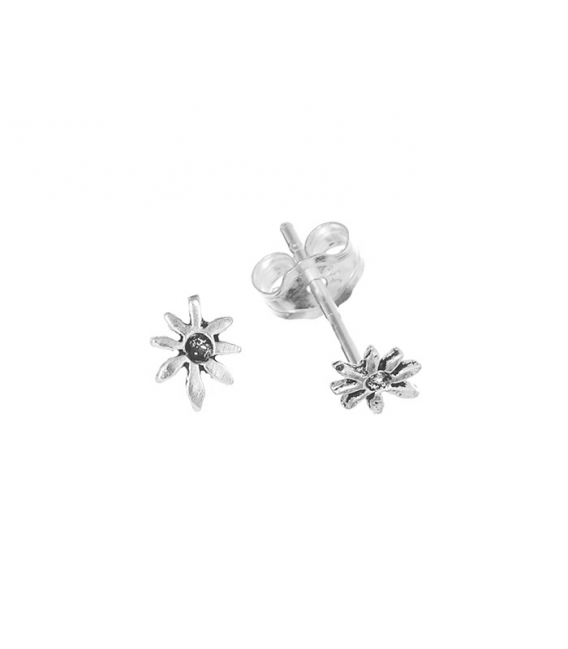 Pendiente Plata Hoja Precio Par