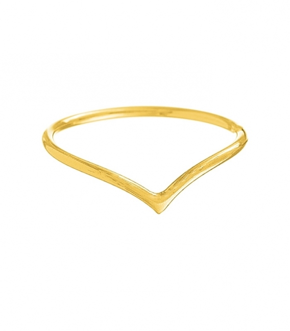 Anillo Plata V Bañado