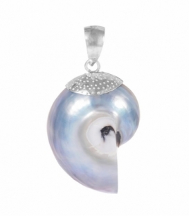 Pendentif Argent Coquillage Nautilus Gris Perle 32mm