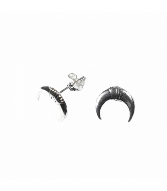 Boucles d'oreilles Argent Lune Inversée Prix Paire