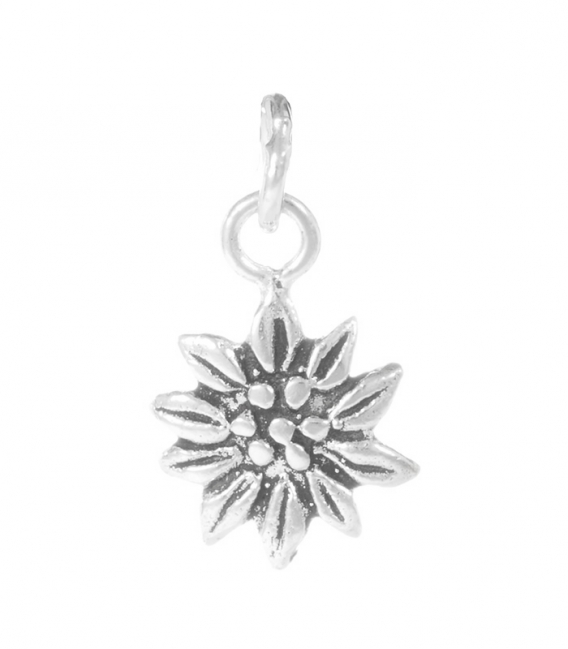 Pendentif Argent Fleur Edelweiss 13mm