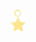 Abalorio Plata Estrella Bañada