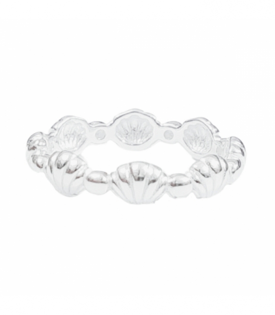 Anillo Plata Conchas 4.2mm