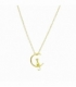 Collier Argent Lune Chat 40+5cm Recouvert