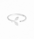 Anillo Plata Hojas 9.2mm