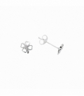 Boucles d’oreilles Argent Trèfle. Prix Paire