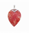 Colgante Plata Concha Coral 49mm