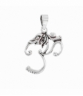 Colgante Plata Elefante Om 21mm