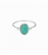 Anillo Turquesa 49