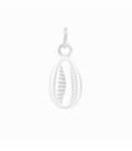 Colgante Plata Concha 11mm
