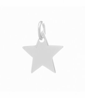 Colgante Plata Estrella 10mm