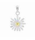 Colgante Plata Flor Ø15mm
