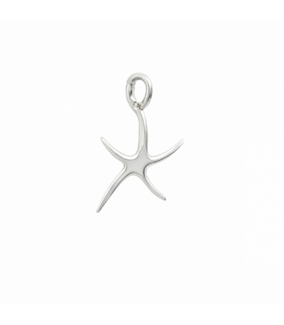 Pendentif Argent Étoile de Mer 18mm
