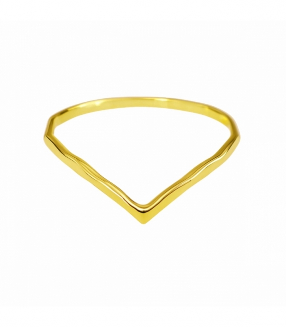 Anillo Plata V Bañado