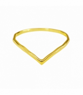 Anillo Plata V Bañado