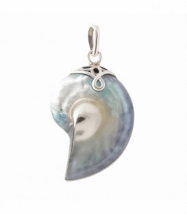 Colgante Plata Nautilus Gris Perla 37mm