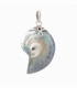 Pendentif Argent Coquillage Nautilus Gris Perle 37mm