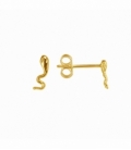 Boucles d'oreilles Serpent Recouverte