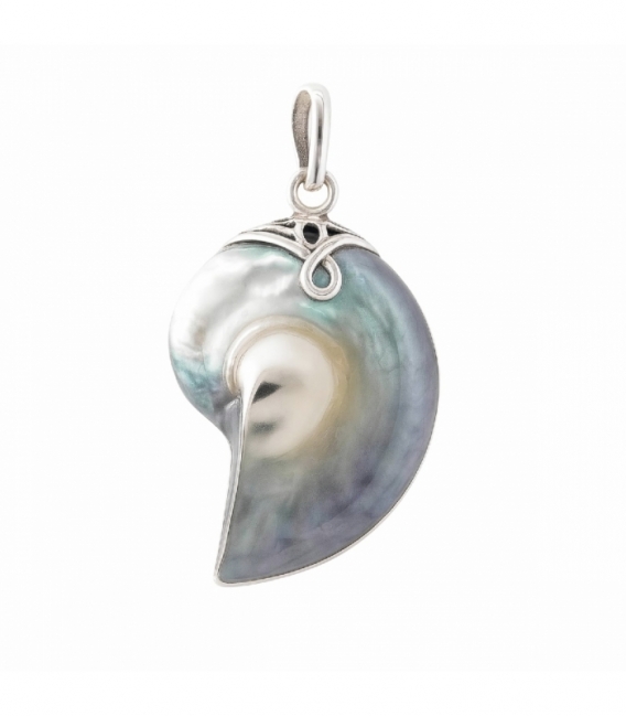 Colgante Plata Nautilus Gris Perla 37mm