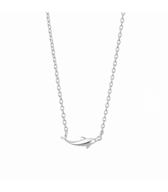 Gargantilla Plata Delfin 40+5cm