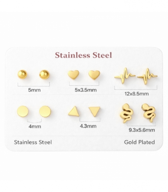 Pack 6 Boucles d’Oreilles Acier 316L Plaqué Or 18K