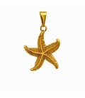 Colgante Acero 304 Estrella Mar Dorado 27mm