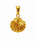Colgante Acero 304 Concha Dorado 15mm