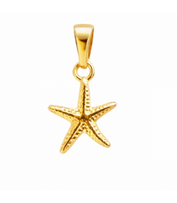 Colgante Acero 304 Estrella Mar Dorado 15mm