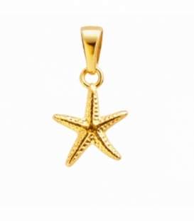 Colgante Acero 304 Estrella Mar Dorado 15mm
