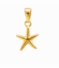 Colgante Acero 304 Estrella Mar Dorado 15mm