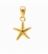 Colgante Acero 304 Estrella Mar Dorado 15mm