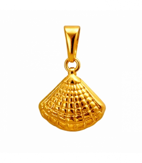 Colgante Acero 304 Concha Dorado 14mm