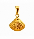 Colgante Acero 304 Concha Dorado 14mm