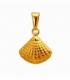 Colgante Acero 304 Concha Dorado 14mm