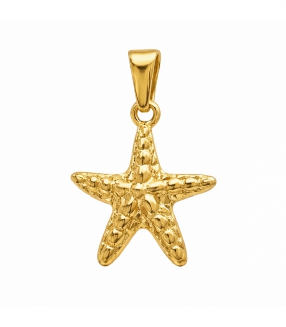 Colgante Acero 304 Estrella Mar Dorado 20mm
