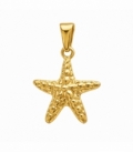 Colgante Acero 304 Estrella Mar Dorado 20mm