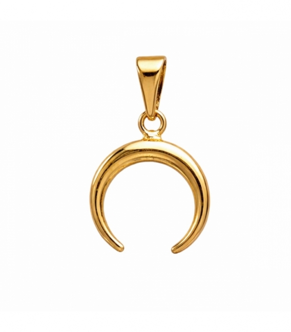 Colgante Acero 304 Luna Invertida Dorado 15mm