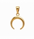 Colgante Acero 304 Luna Invertida Dorado 15mm