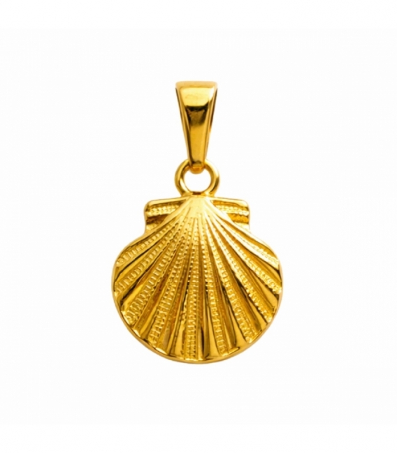 Colgante Acero 304 Concha Dorado 15mm
