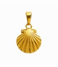 Colgante Acero 304 Concha Dorado 15mm