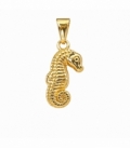 Colgante Acero 304 Caballito Mar Dorado 18mm