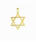Colgante Acero 304 Estrella David Dorado 30mm