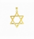 Colgante Acero 304 Estrella David Dorado 30mm