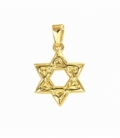 Colgante Acero 304 Estrella David Dorado 15mm