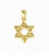 Colgante Acero 304 Estrella David Dorado 15mm