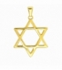 Colgante Acero 304 Estrella David Dorado 43mm